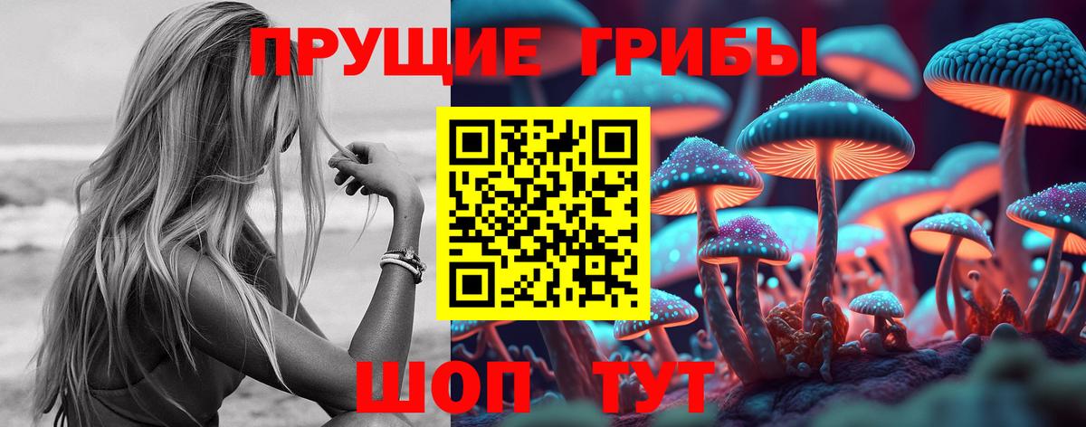 Кулебаки  Псилоцибиновые грибы мухоморы  Вход с VPN 